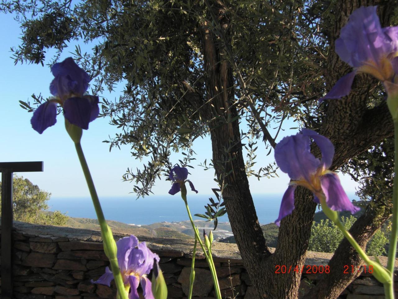 Villa El Ancla Sayalonga Εξωτερικό φωτογραφία